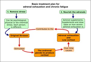 treatadrenalfatigue