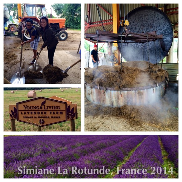 Young Living France